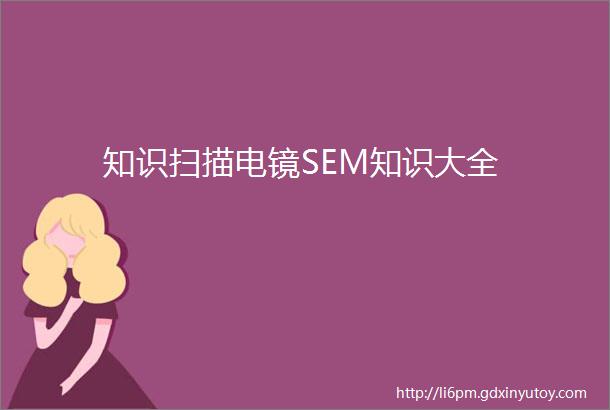 知识扫描电镜SEM知识大全